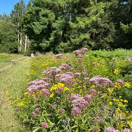 Ferienhaus La Grange De Fanie *